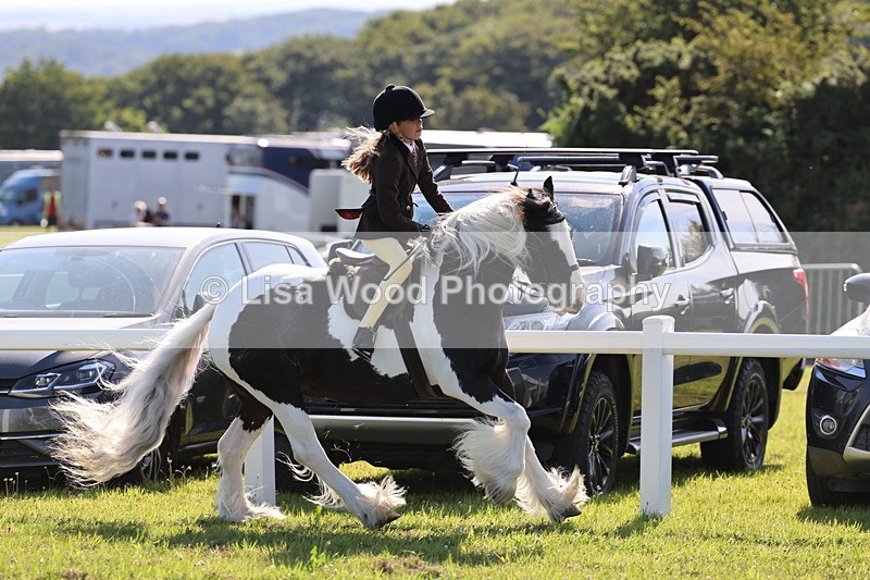 IMG_1540 - Class 30: Ridden Native/Trad Coloured Pony