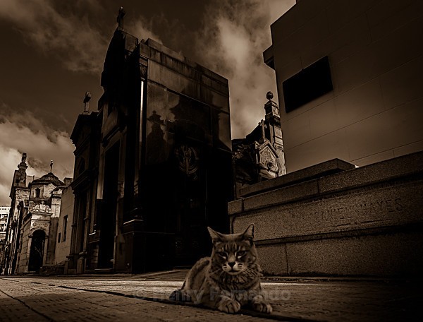  - Recoleta Cemetery, Buenos Aires