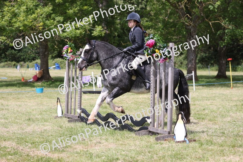 20260614-1976 - Class 21 - Novice Working Hunter Pony