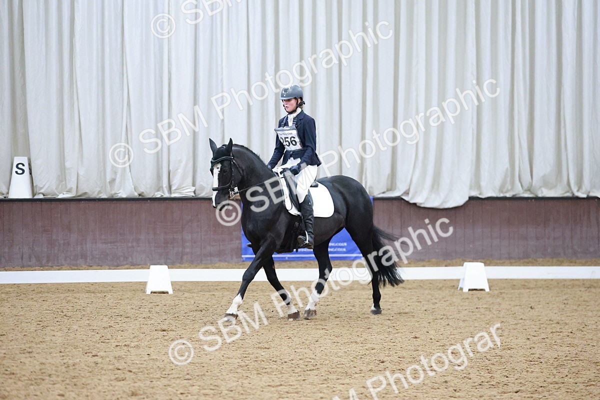 SBM_004628 - Ring 3 - International -  Working Hunter Classes 23-2-25