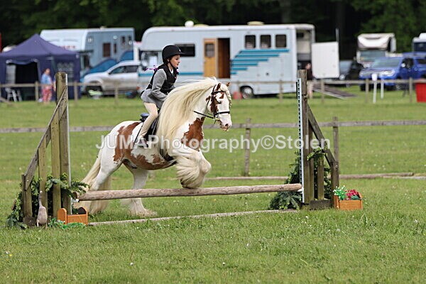 IMG_2445 - Working Hunter