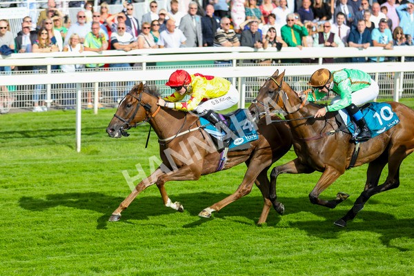 280723-Race 2-Quest For Fun-2742 - Race 2 5.30pm eventmasters.co.uk Handicap