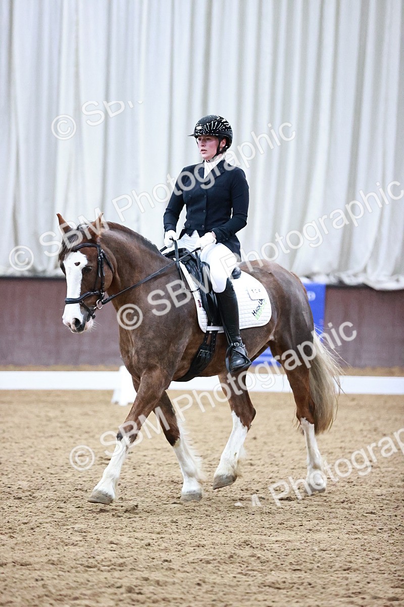 SBM_000154 - Class 3, 4, 8, 10 Intro 3 Prelim 3 Novice 2