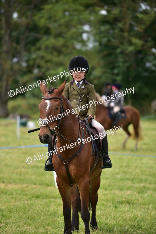 20260614-4006 - Class 16 - Handsome Gelding