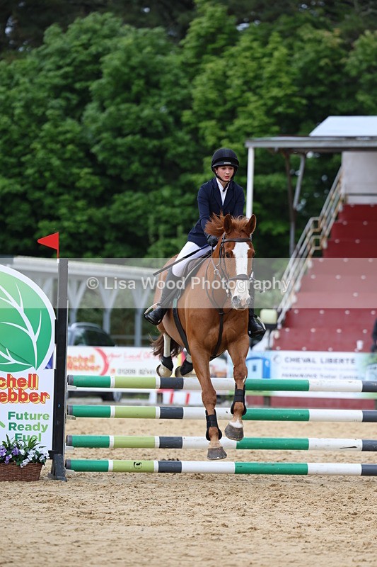 3E7A6250 - Class 4: Senior British Novice/90cm open
