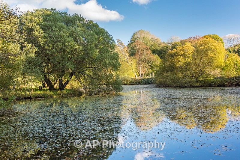 ACP_5269-1 - Lakes