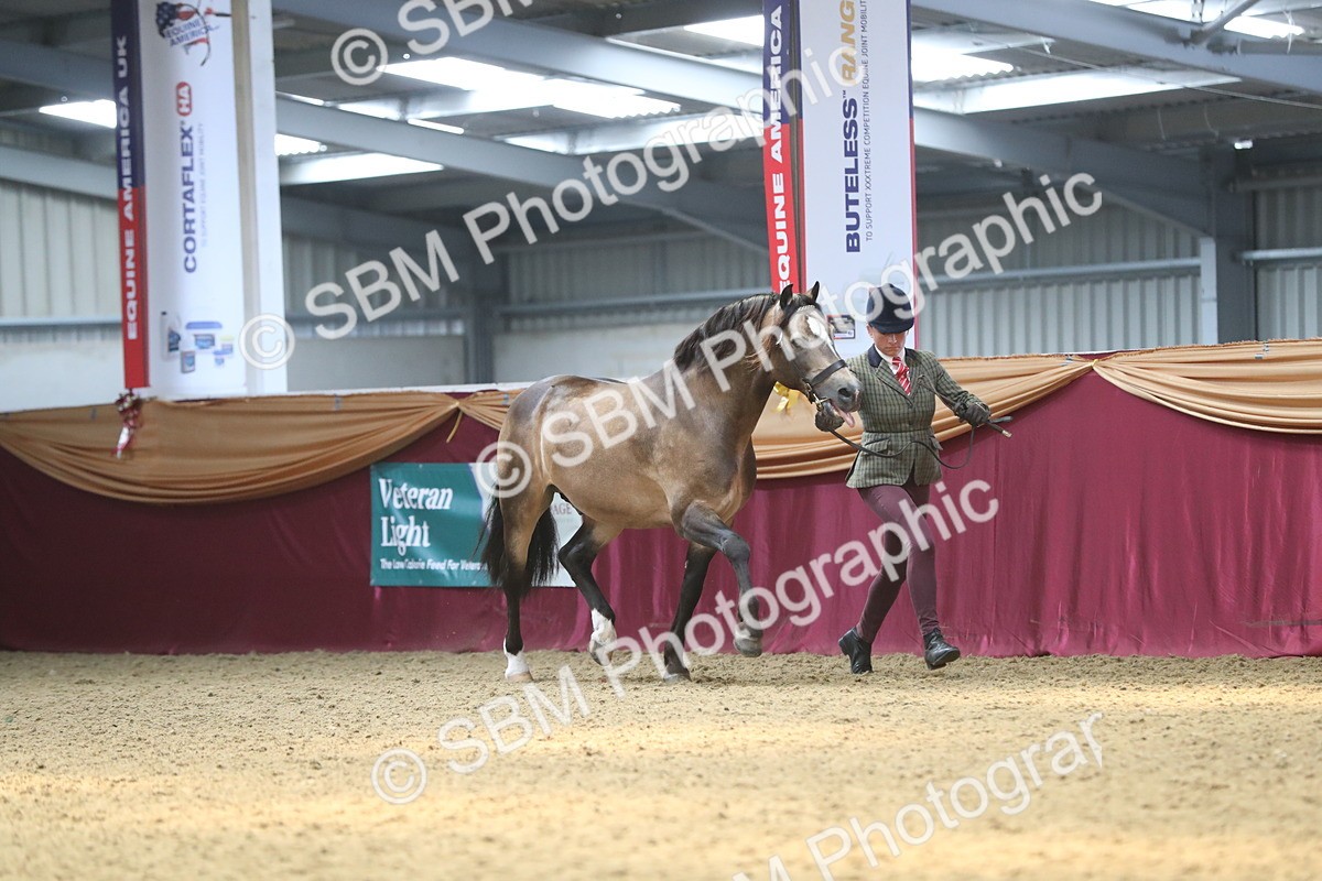 SBM_15129 - Class 501 M&M IH Supreme Final