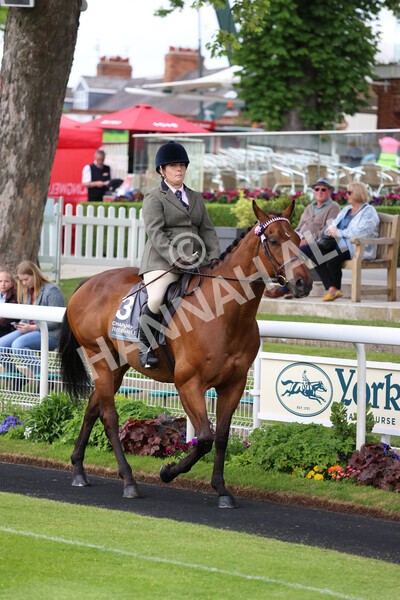 yr22052022r8e-110 - ROR - Parade Ring York