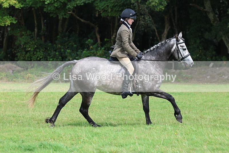 3E7A5998 - Class 28: 75cm Working Hunter