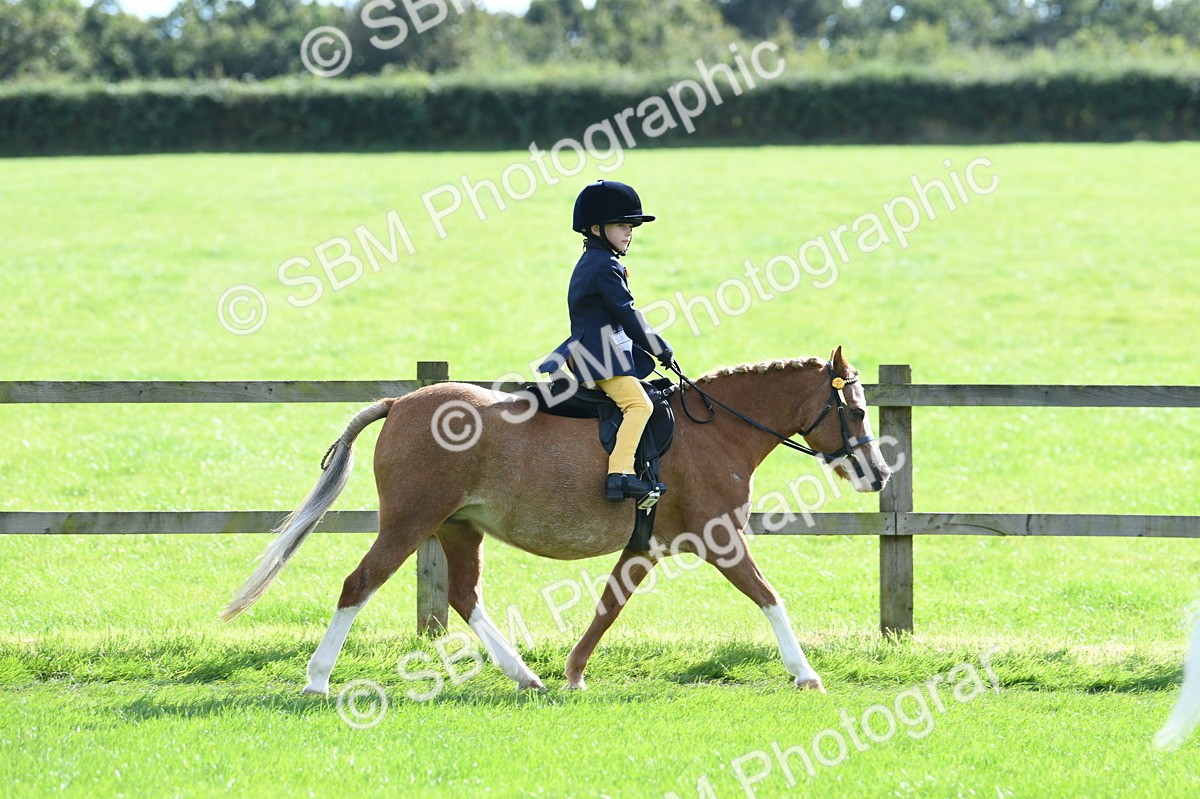 SBM_50265 - S21 - Novice & Newcomers 1st Ridden Pony