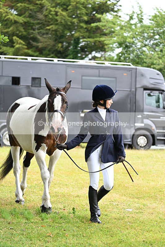 WJ7_6127 - Class 4a Prettiest Mare over 14hh