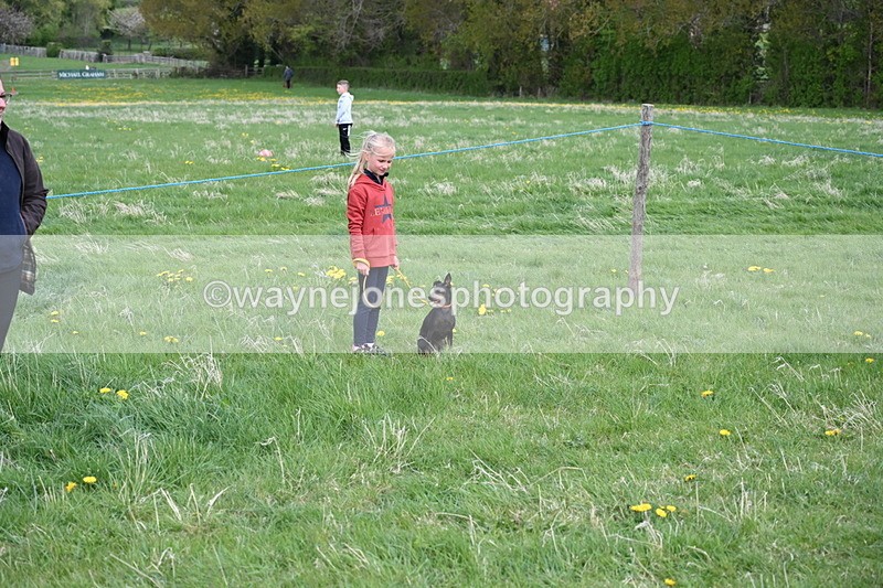 WJ6_8036 - Class 2 Best Pedigree