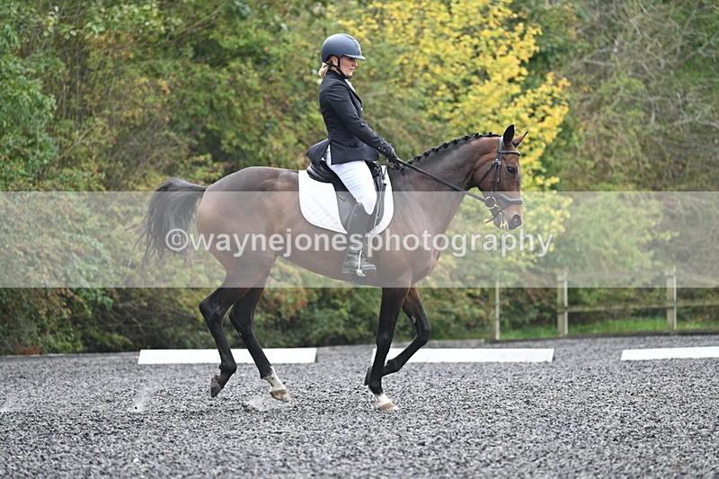 WJ7_3906 - Time 11:04 to 11:38