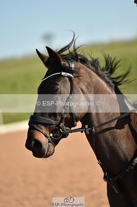 240306A-100014-00680 - Cls 1 British Novice and 90cm Open