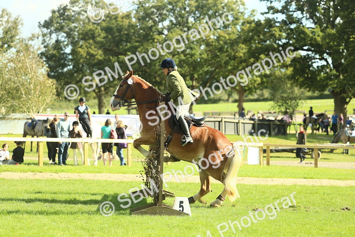 SBM_48106 - S32 - Novice & Newcomers Working Hunter