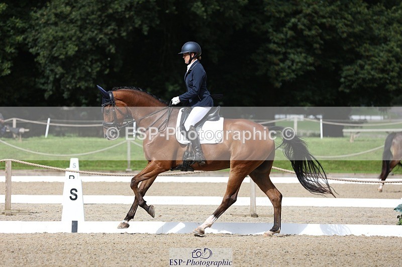 230812-104308-03326 - Cls 5 Novice Bronze Start to 10.55 break