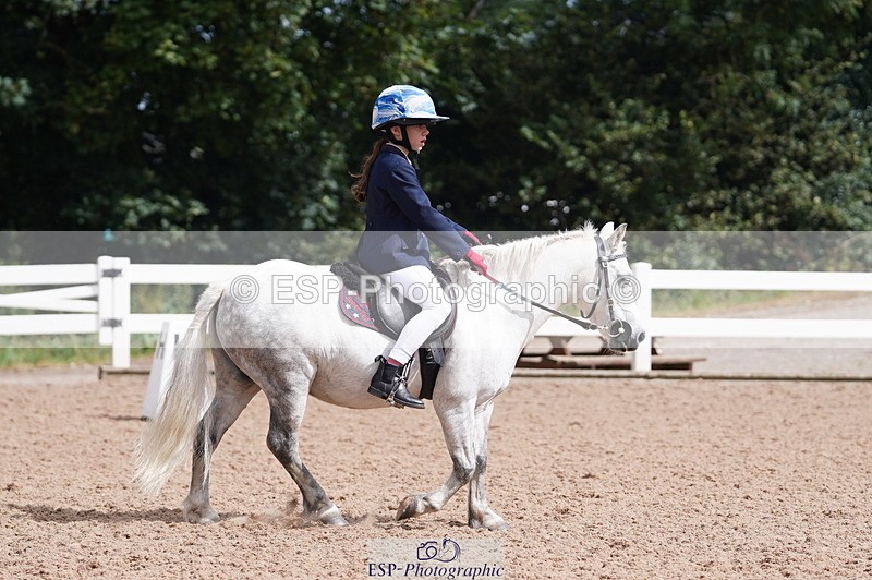 240809A-110152-00707 - Dressage Competition