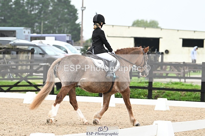 241103-113908-00559 - Intro 3 - 10.50 to 11.44