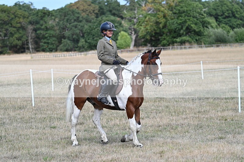 WJ7_6664 - Class 14 Ridden Coloured