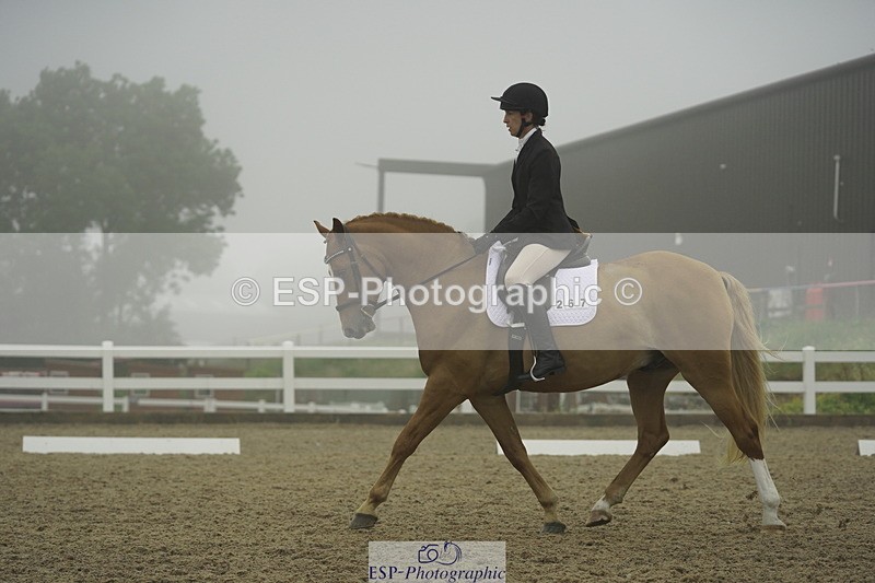 230708A-150010-03955 - Prelim 18