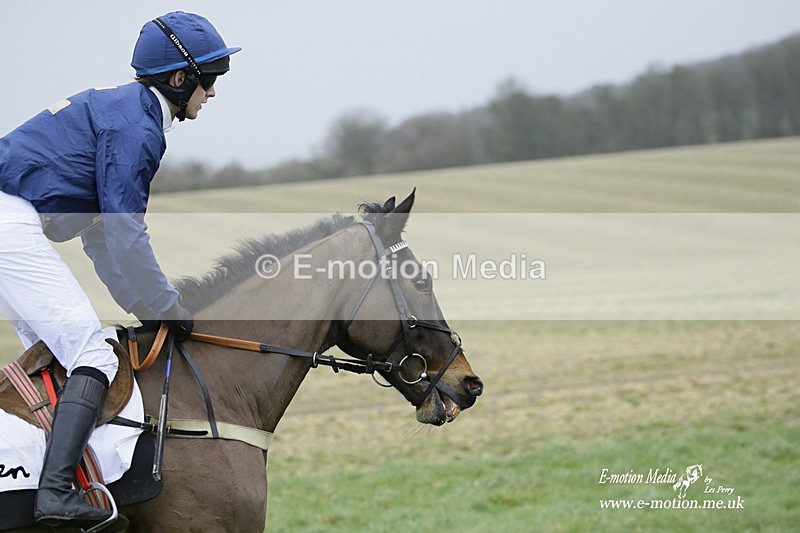 PtP 200222 176 - Countryside Alliance PtP Badbury Rings 20/02/22