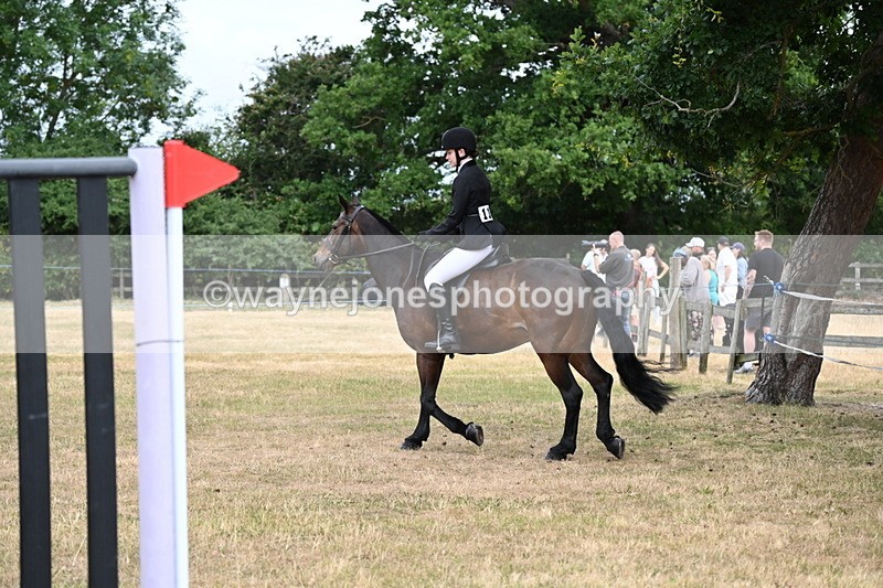 WJ6_3962 - Class 9 Tack & Turnout