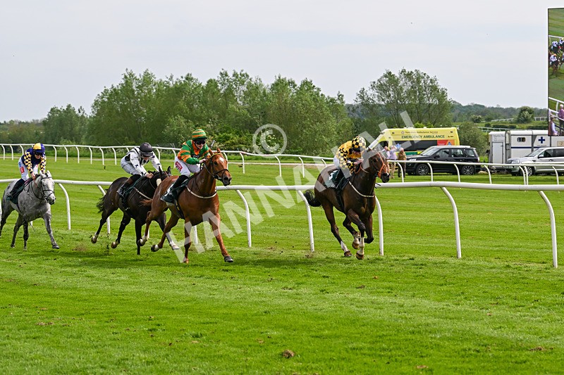 130524-Race 5-Sherdil-0586 - Race 5