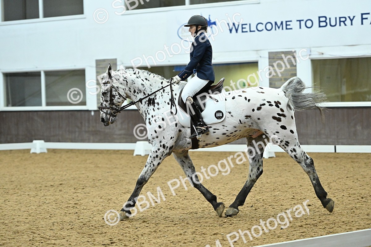 SBM_007509 - Class 81 - Novice 3