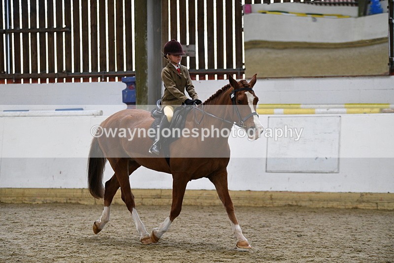 WJ5_6385 - Class 9 Ridden Veteran