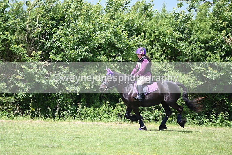 WJ6_3331 - Class 4 60cm