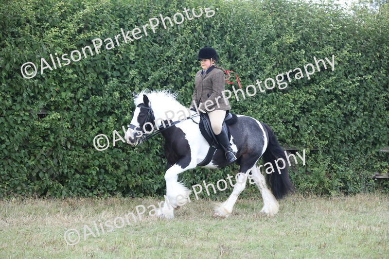 20250831-4266 - Class 20 - Ridden Coloured