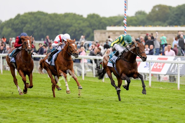 180523-Race 7-Chesspiece-7469 - Race 7 5.20pm Collective Green Energy Handicap