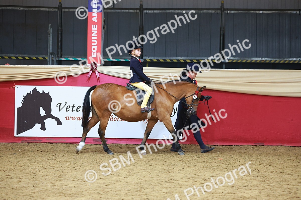 SBM_09583 - Class 102 - HOYS Veteran Qualifier - Ridden Veteran