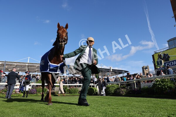 yr08102022r3-72 - Race 3 2.40pm The Coral 'Beaten-by-a-Length' Free Bet Handicap