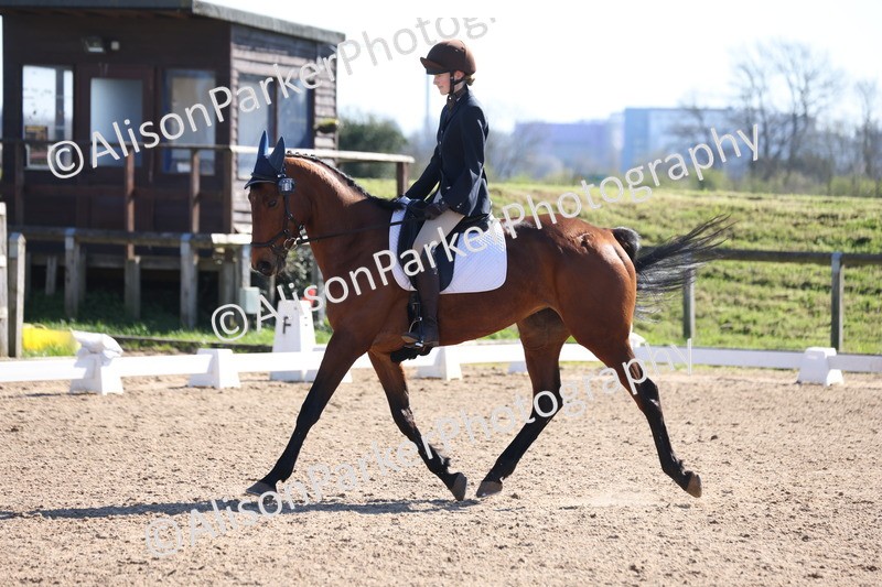 20260318-0512 - Class 5 - Novice 2