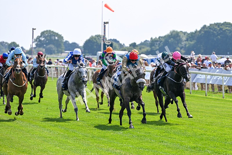 100726-Race 2-Flora Of Bermuda-9644 - Race 2 14.45pm William Hill Summer Stakes
