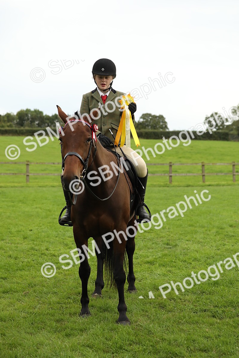 SBM_73839 - S41 - Ridden Equitation (Best Rider)