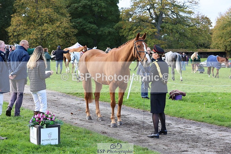 251026A-100121-22671 - D-321-Kirstie.Deakin-Main