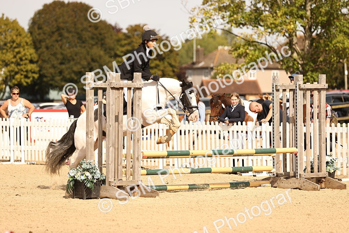 SBM_66986 - J13 - Junior Pony 60cm Championship