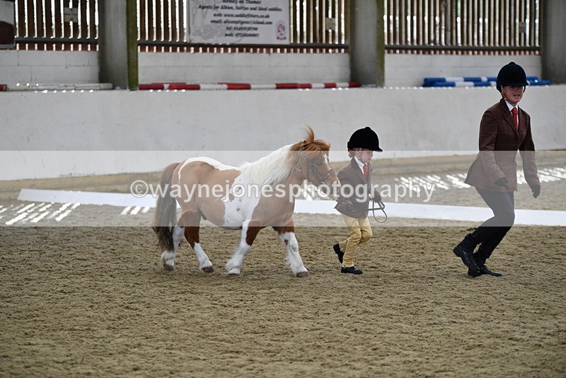 WJ5_4907 - Class 7 In hand coloured / odd coloured