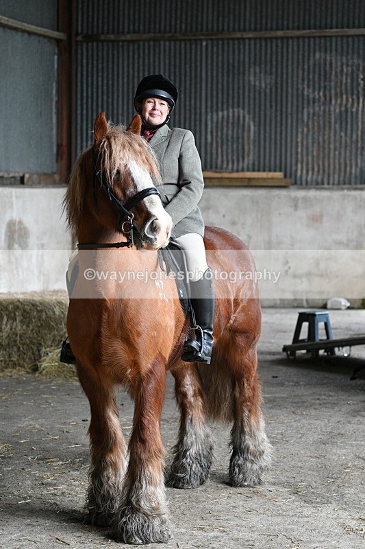 WJ7_8665 - Berks & Bucks - Rowles Farm 15-02-26