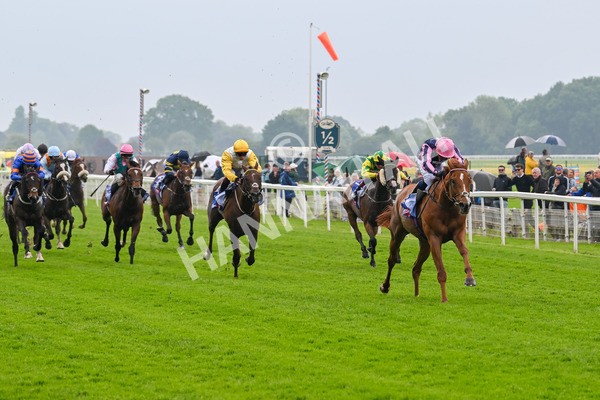 150524-Race 1-Crystal Delight-3566 - Race 1 2.15pm Sky Bet Race To The Ebor Jorvik Handicap