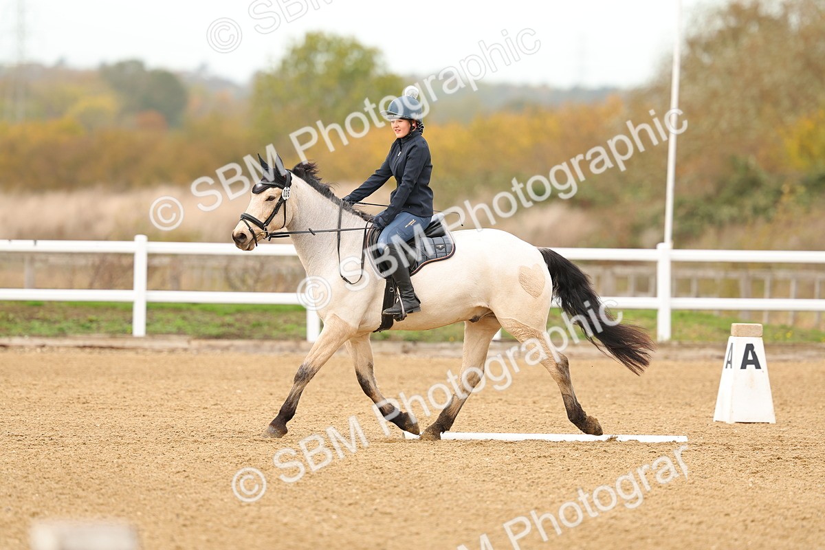 SBM_000573 - Class 3-12 - CT P2 60cm - DR P2