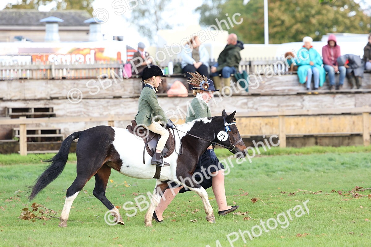 SBM_47750 - S28 - Veteran Ridden