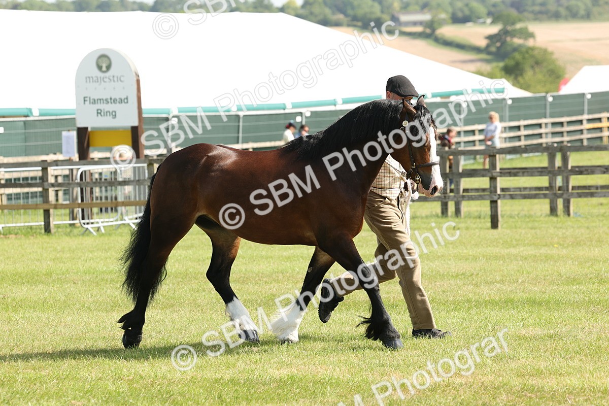 SBM_02153 - Class 6-13 - Mountatin and Moorland In Hand Welsh Breeds