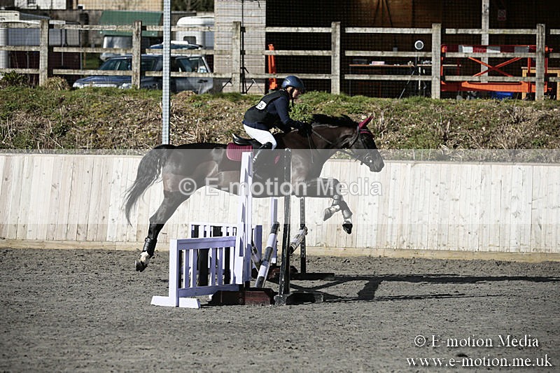 BVRC SJ 170319 38 - Bourne Valley Riding Club Showjumping 17/03/19