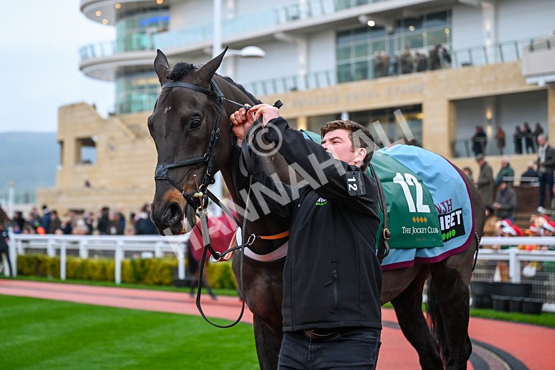 131224-Race 6-Mister Coffey-9886 - Race 6