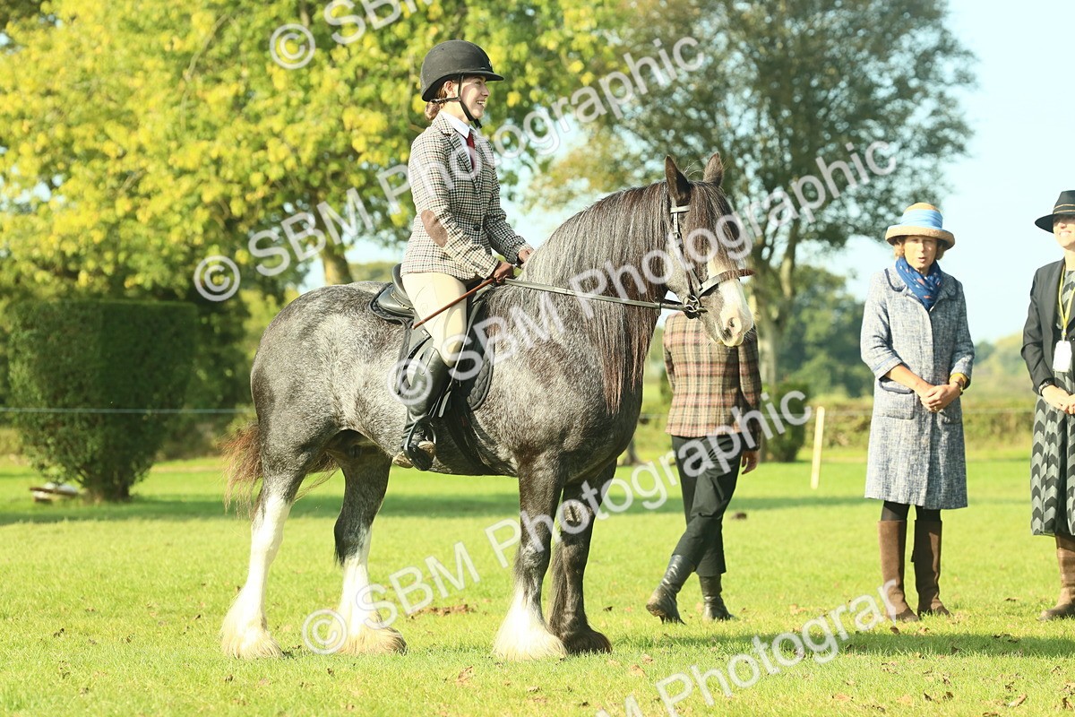 SBM_59227 - S38 - Starters Ridden Showing