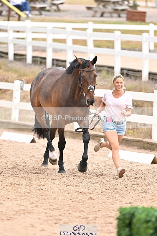 250716-143937-01269 - Trot Up 2.30 to 3.30