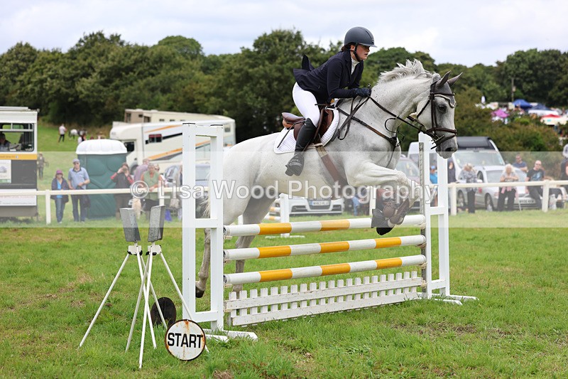 3E7A7064 - Class 5: Senior British Novice/90cm open